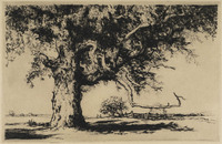 St G 042
<br/>
Oude boom in het weiland
<br/>
<em>Robins, William Palmer (1882-1959)</em>